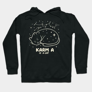 Karma Is A Cat Hoodie